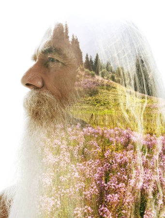 Téléchargez les photos : Portrait de profil d'un vieil homme avec une moustache fusionné avec une photo d'un champ en fleurs dans une double exposition - en image libre de droit