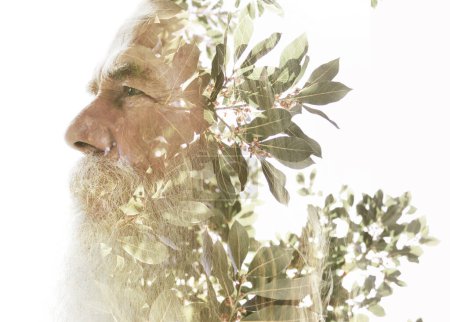 Téléchargez les photos : Un portrait de profil d'un vieil homme barbu fusionné avec une image d'arbre vert dans une double exposition sereine - en image libre de droit