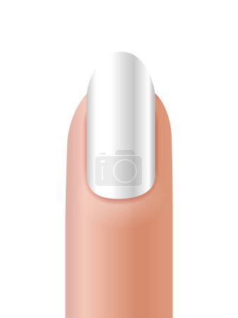 Illustration for Fingernail manicure on a white background. Vector illustration. - Royalty Free Image