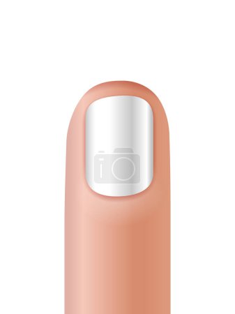 Illustration for Fingernail manicure on a white background. Vector illustration. - Royalty Free Image