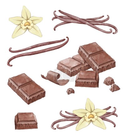 Photo for Hand drawn illustrations of vanilla and chocolate - Royalty Free Image