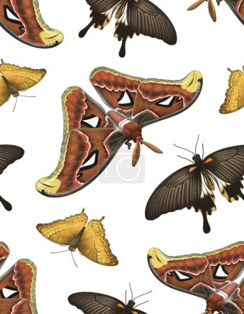 Illustrations of tropical butterflies, seamless pattern