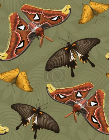 Photo for Illustrations of tropical butterflies, seamless pattern - Royalty Free Image