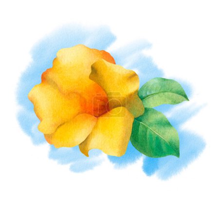 Téléchargez les photos : Aquarelle fleur tropicale jaune. Illustration peinte à la main - en image libre de droit