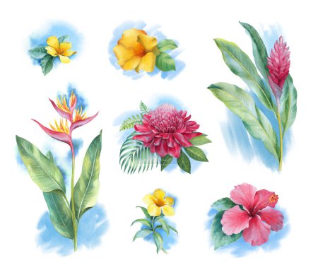 Téléchargez les photos : Aquarelle fleurs tropicales. Illustrations peintes à la main - en image libre de droit