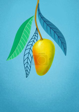 Photo for Background with a hand drawn illustration of mango fruit - Royalty Free Image