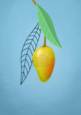Téléchargez les photos : Background with a hand drawn illustration of mango fruit - en image libre de droit