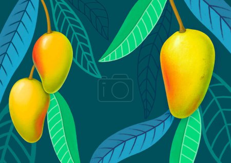 Photo for Background with hand drawn illustrations of mango fruits - Royalty Free Image
