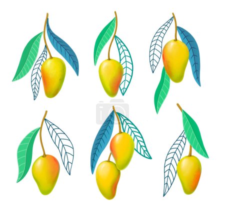 Photo for Hand drawn illustrations of mango fruits - Royalty Free Image