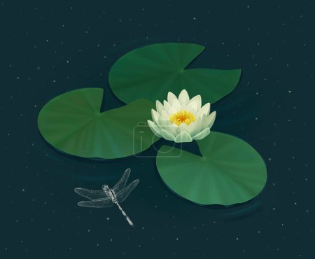 Photo for Hand painted illustration of water lily. Sutable for posters, greeting cards, stationery and other goods - Royalty Free Image