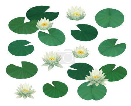 Photo for Hand painted illustrations of water lilies for print. Sutable for stationery, textile, wall stickers, wallpapers and other goods - Royalty Free Image