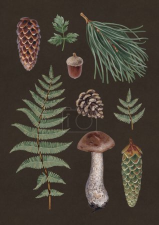 Photo for Hand painted acrylic botanical illustrations of forest nature. Cottegecore style. Perfect for prints, home textile, packaging design, posters, stationery and other printed goods - Royalty Free Image