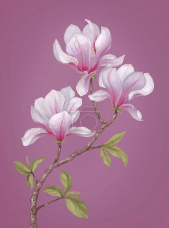 Photo for Hand painted acrylic illustration of magnolia flower. Perfect for poster, home textile, packaging design, stationery, wedding invitations and other prints - Royalty Free Image