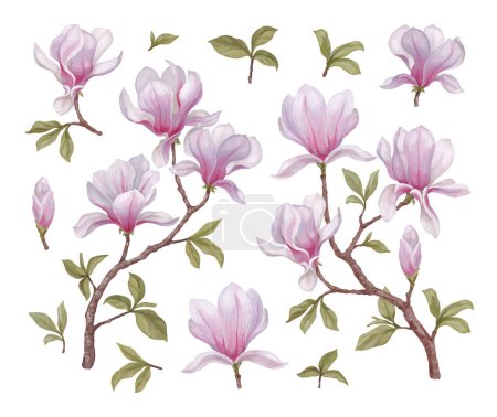 Photo for Hand painted acrylic illustrations of magnolia flowers. Perfect for home textile, packaging design, stationery, wedding invitations and other prints - Royalty Free Image