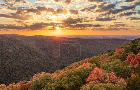 Photo for Sun setting behind clouds illuminating the fall colors of the trees in Coopers Rock State Forest - Royalty Free Image