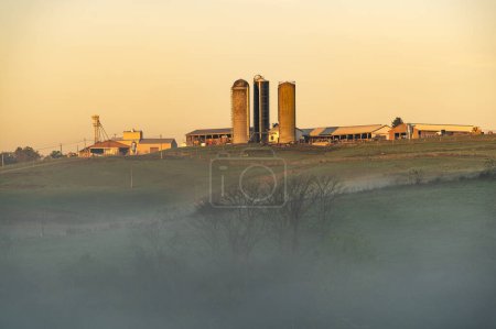 Téléchargez les photos : WVU husbandry farm center in Morgantown, West Virginia on a misty autumn morning - en image libre de droit