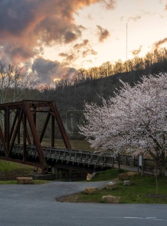 Téléchargez les photos : Ancien pont à poutres en acier transportant des sentiers pédestres et cyclables à Morgantown WV au-dessus du ruisseau Deckers avec des fleurs de cerisiers en fleurs au printemps - en image libre de droit