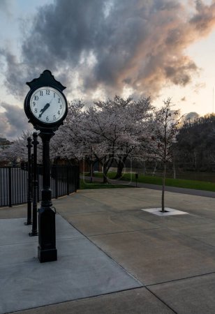 Téléchargez les photos : Horloge à l'ancienne près de la piste pédestre et cyclable de Morgantown WV avec des fleurs de cerisier fleurissant au printemps au coucher du soleil - en image libre de droit