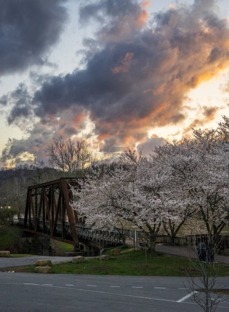 Photo for Old steel girder bridge carrying walking and cycling trail in Morgantown WV over Deckers Creek with cherry blossoms blooming in the spring - Royalty Free Image