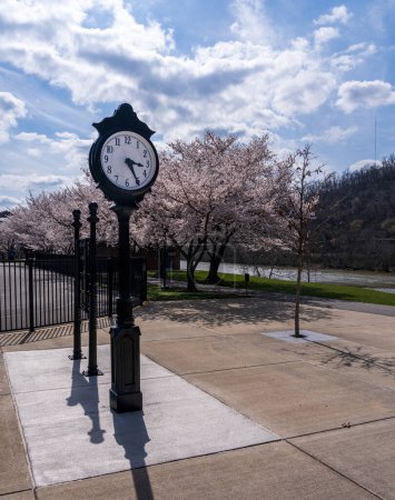 Téléchargez les photos : Horloge à l'ancienne près de la piste pédestre et cyclable de Morgantown WV avec des fleurs de cerisier fleurissant au printemps - en image libre de droit