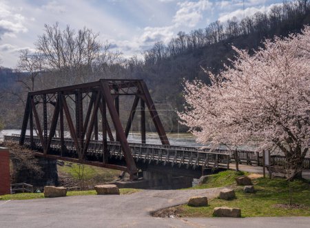 Foto de Vieja viga de acero puente que lleva sendero a pie y en bicicleta en Morgantown WV sobre Deckers Creek con flores de cerezo floreciendo en la primavera - Imagen libre de derechos