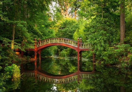 Photo for Ornate wooden bridge over very calm Crim Dell pond on campus of William and Mary college in Williamsburg Virginia - Royalty Free Image