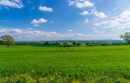 Photo for Wide view across grassland and meadows from Welsh Frankton in Shropshire - Royalty Free Image