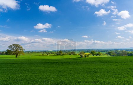 Photo for Wide view across grassland and meadows from Welsh Frankton in Shropshire - Royalty Free Image