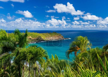 Téléchargez les photos : Réserve naturelle rocheuse et isolée de Mokolea Point près de Kilauea sur l'île hawaïenne de Kauai - en image libre de droit