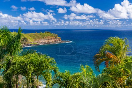 Téléchargez les photos : Réserve naturelle rocheuse et isolée de Mokolea Point près de Kilauea sur l'île hawaïenne de Kauai - en image libre de droit