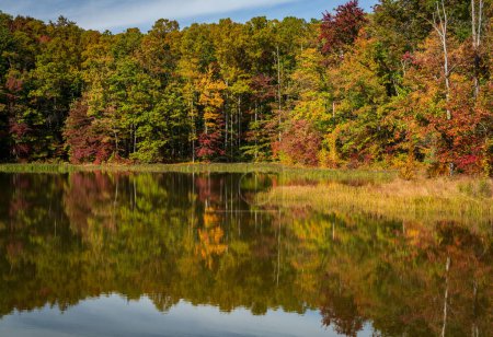Cambio de hojas en otoño reflejado en reservorio tranquilo en Coopers Rock State Forest cerca de Morgantown, WV