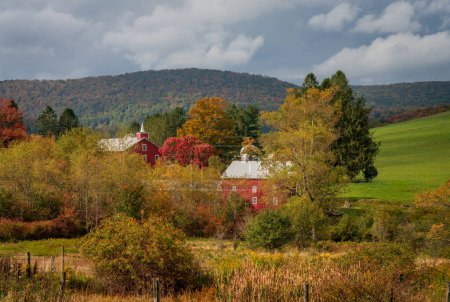 Photo for Historic red barn and farm buildings nestled in the trees in autumn near Aurora in West Virginia in the fall - Royalty Free Image
