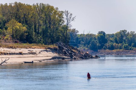 Téléchargez les photos : Les faibles niveaux d'eau du cours inférieur du Mississippi exposent les bancs de sable et les tas de troncs d'arbres échoués sur le chenal étroit de la rivière. - en image libre de droit