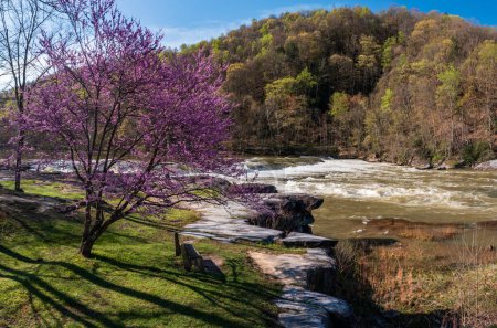 Valley Falls State Park in der Nähe von Fairmont in West Virginia an einem farbenfrohen und strahlenden Frühlingstag mit Rotknospenblüten auf den Bäumen