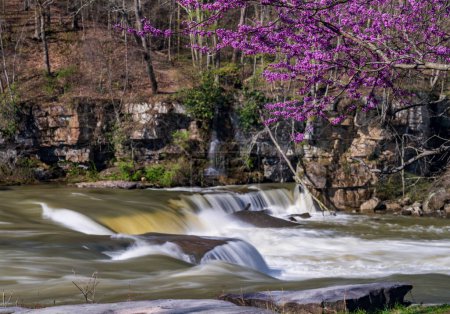 Valley Falls State Park in der Nähe von Fairmont in West Virginia an einem farbenfrohen und strahlenden Frühlingstag mit Rotknospenblüten auf den Bäumen
