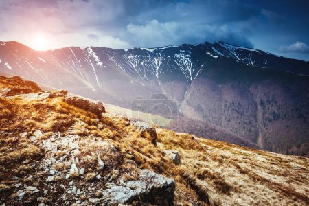 Photo for Great view of the snow range which glowing by sunlight. Dramatic and picturesque scene. Location place Carpathian, Ukraine, Europe. Beauty world. Retro and vintage style. Instagram toning effect. - Royalty Free Image
