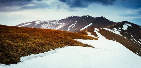 Photo for Great view of the snow range under overcast sky. Dramatic scene and picturesque picture. Location place Carpathian, Ukraine, Europe. Beauty world. Retro and vintage style. Instagram toning effect. - Royalty Free Image