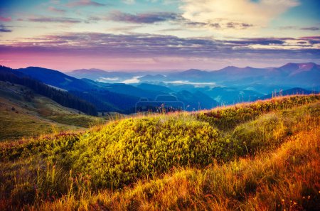 Photo for Fantastic mountains glowing by sunlight. Dark overcast sky in the morning. Dramatic and picturesque scene. Location Carpathian, Ukraine, Europe. Beauty world. Instagram toning. Warm toning effect. - Royalty Free Image