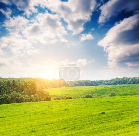 Photo for Fantastic view of the summer field and sunlight in blue sky. Picturesque and gorgeous scene. Location place Ukraine, Europe. Artistic picture. Beauty world. - Royalty Free Image