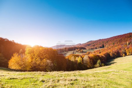 Photo for Great alpine valley that glows in the sunlight. Gorgeous morning scene. Red and yellow autumn leaves. Location place Carpathians, Ukraine, Europe. Discover the world of beauty. Artistic picture. - Royalty Free Image
