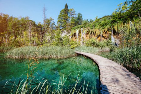 Photo for Majestic view on turquoise water and sunny beams. Picturesque and gorgeous scene. Popular tourist attraction. Location famous resort Plitvice Lakes National Park, Croatia, Europe. Beauty world. - Royalty Free Image