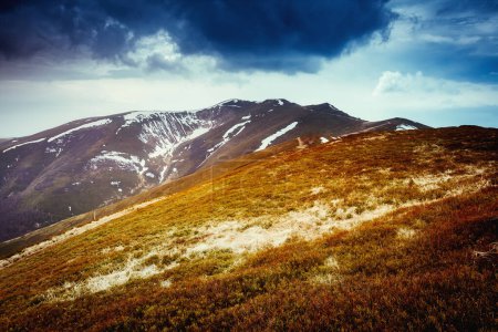 Photo for Gloomy view of the snow range under overcast sky. Dramatic scene and picturesque picture. Location place Carpathian, Ukraine, Europe. Discover the world of beauty. Instagram toning effect. - Royalty Free Image