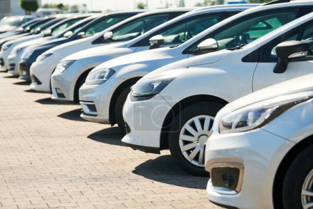 row of used cars. Rental or automobile sale services at dealer place