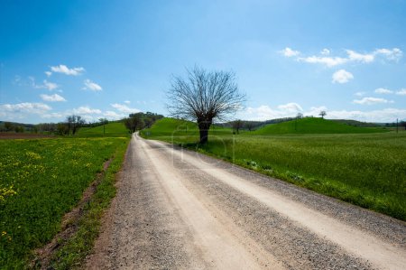 Téléchargez les photos : Chemin de terre sinueux entre les champs de printemps de Toscane - en image libre de droit