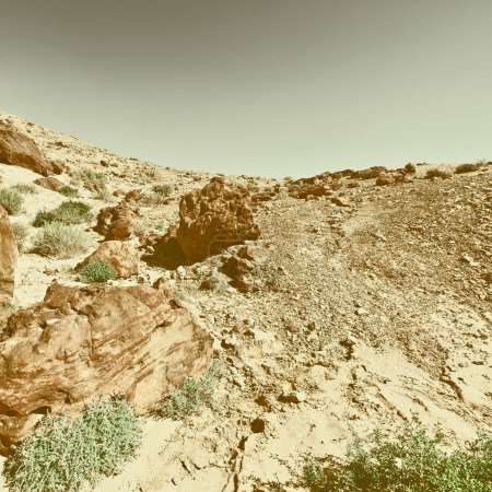 Téléchargez les photos : Big Stones of Grand Crater in Negev Desert, Israël, Retro Image Filtered Style - en image libre de droit