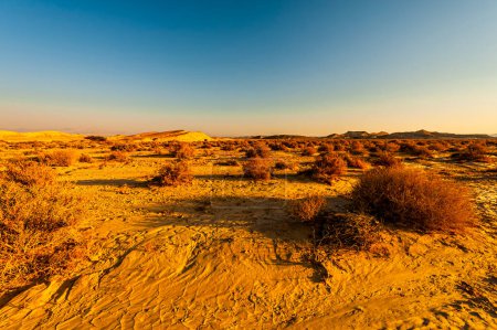 Téléchargez les photos : Paysage à couper le souffle des formations rocheuses dans le désert d'Israël. Scène sans vie et désolée comme concept de solitude, de désespoir et de dépression. - en image libre de droit