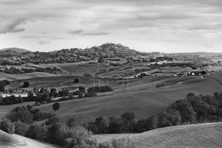 Téléchargez les photos : Ville médiévale italienne Montepulciano sur la colline, skyline et paysage rural avec des vignobles et des oliviers en noir et blanc - en image libre de droit