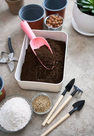 preparación de sustrato de suelo para plantar planta de interior en una maceta.