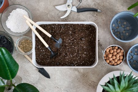 preparation of soil substrate for planting houseplant into a pot.