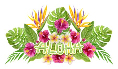 Foto de Aloha Hawaii saludo. Ramo de vegetación tropical. Pintura acuarela dibujada a mano con flores de hibisco y hojas de palma aisladas sobre fondo blanco. Elemento de diseño. - Imagen libre de derechos
